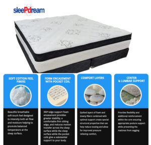 Dream Master 5 Euro Top Mattress by SleePDream