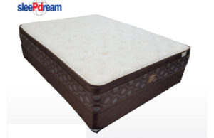 Orleans Euro Top Mattress by SleePDream